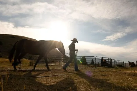 Discover the US Women Ranchers Redefining Modern Ranching